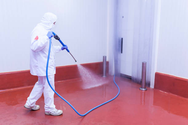Professional Pressure Washing in Michigan Center, MI
